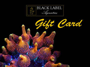 Black Label Aquatics Gift Card